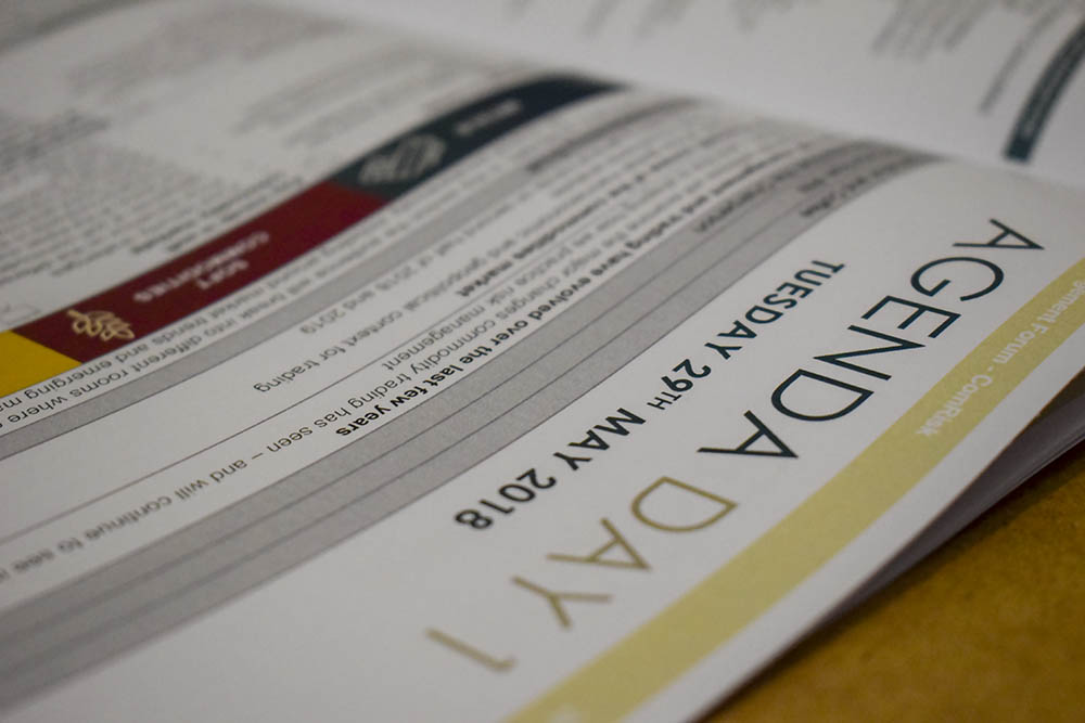 Pissaridi Marian Designer Greece portfolio London UX Brochure