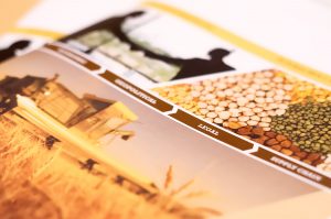 Marian Pissaridi Design