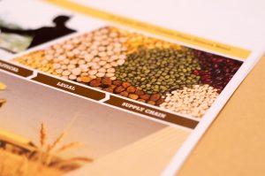 Risks in AgriTrading