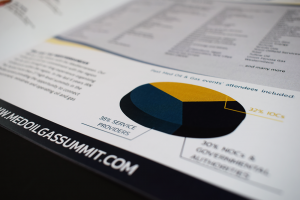 Pissaridi Marian Designer Greece portfolio London UX Brochure